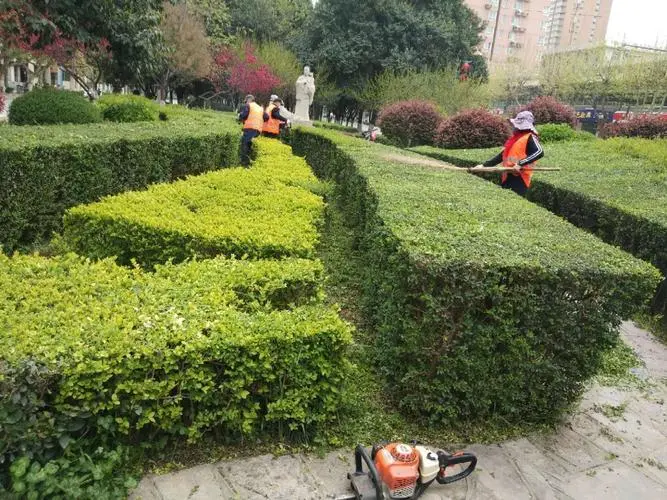 崇州城市绿化护栏规范