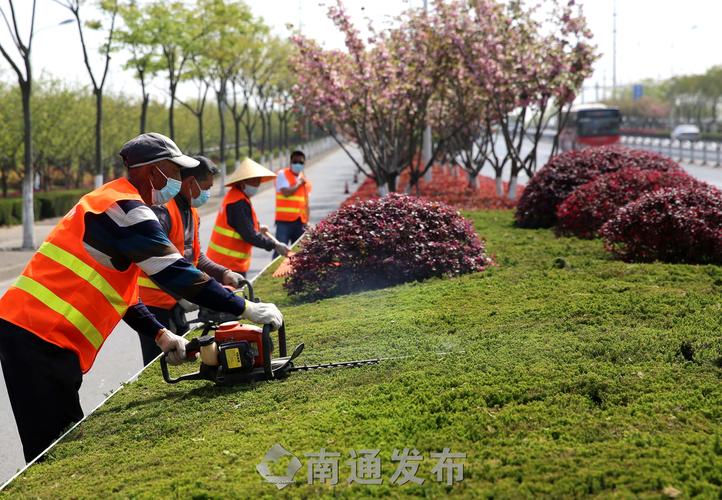安岳县中迪广场绿化工程