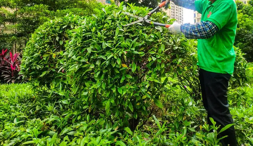 园林绿化工程师评级要求